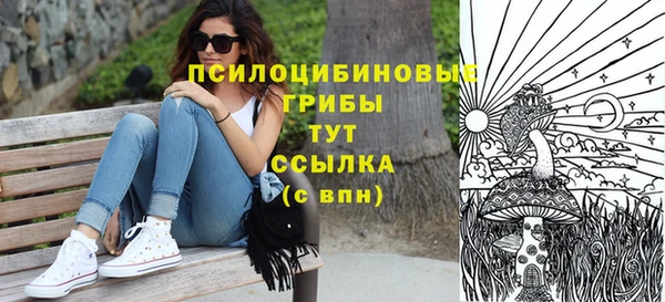 ПСИЛОЦИБИНОВЫЕ ГРИБЫ Армянск