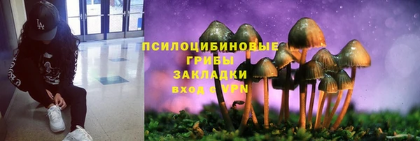 a pvp Арсеньев