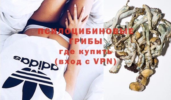 a pvp Арсеньев